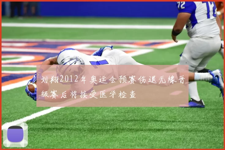 刘翔2012年奥运会预赛伤退无缘晋级赛后将接受医学检查