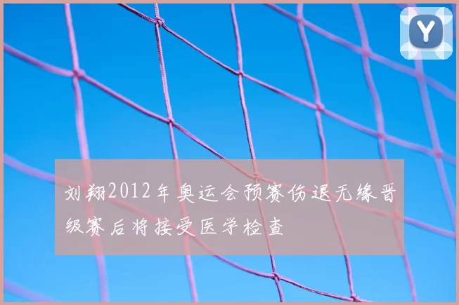 刘翔2012年奥运会预赛伤退无缘晋级赛后将接受医学检查