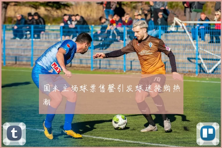 国米主场球票售罄引发球迷抢购热潮