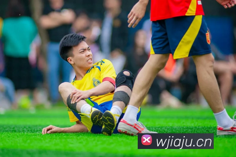 尊龙凯时·[中国]官方网站 - 人生就是搏!APP 封面图